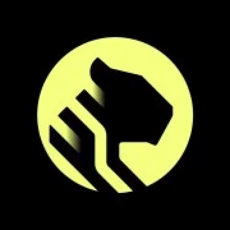 TigerData logo