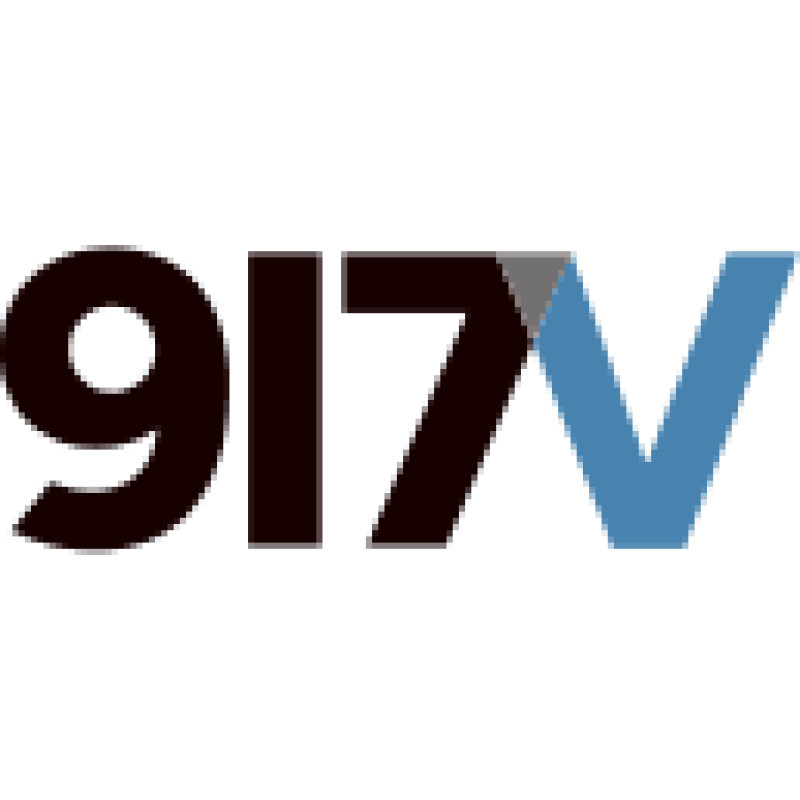 917Ventures logo