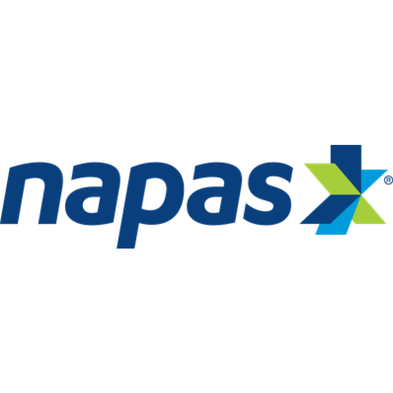 NAPAS logo