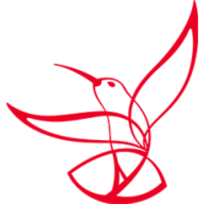 SINNAD logo