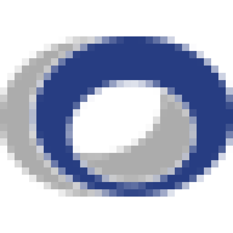Wonik QnC logo