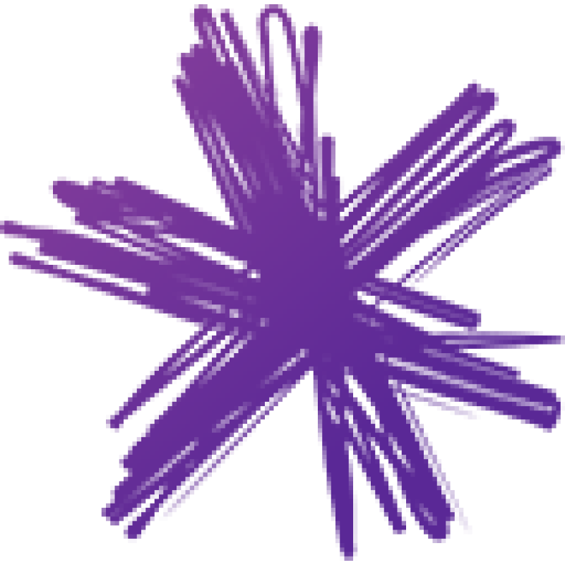 Spark New Zealand logo