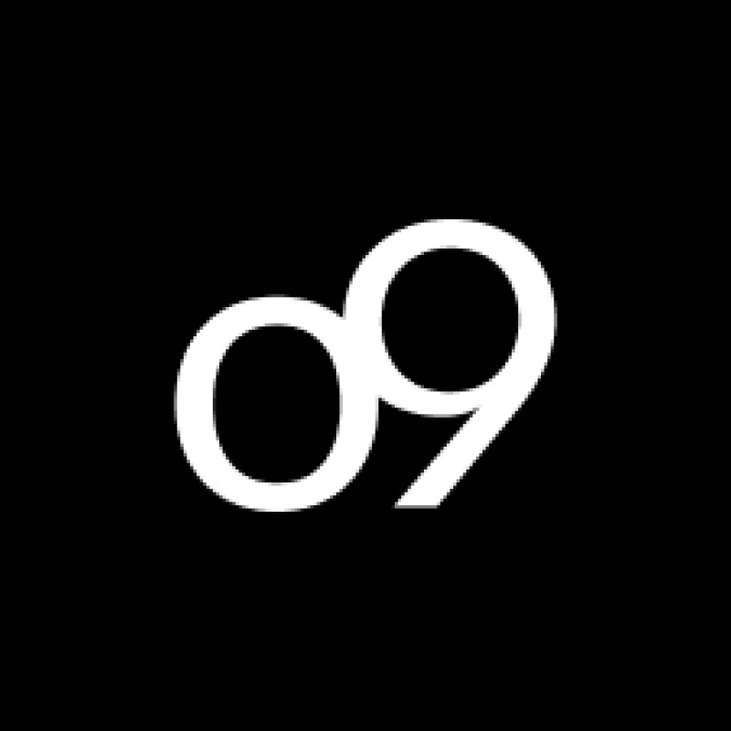 o9 Solutions logo