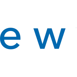 Network International logo