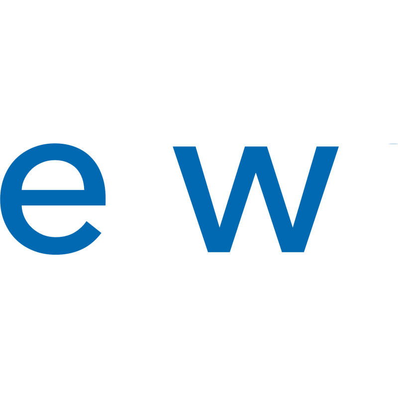 Network International logo