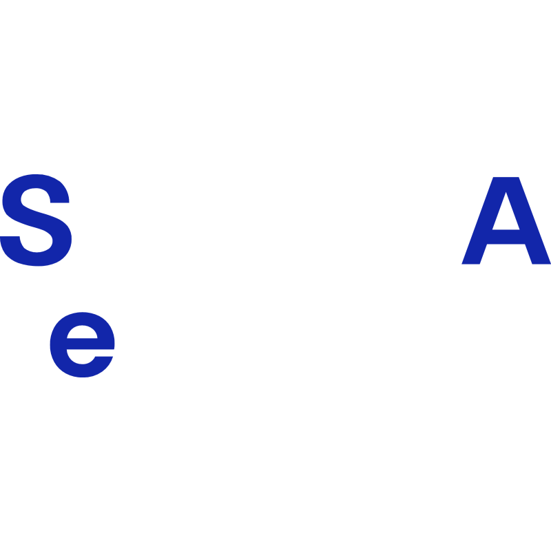 Squirrel Ai Learning logo