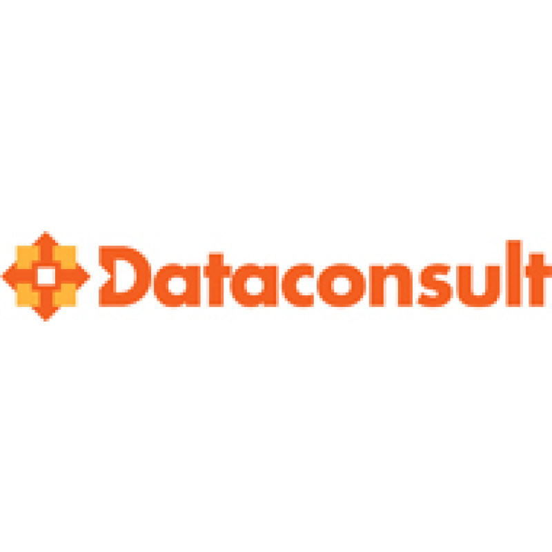 Data Consult logo