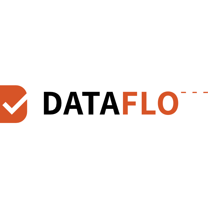 DataFlow Group logo