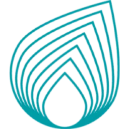 Netaş logo