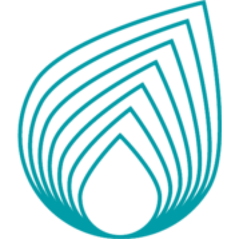 Netaş logo