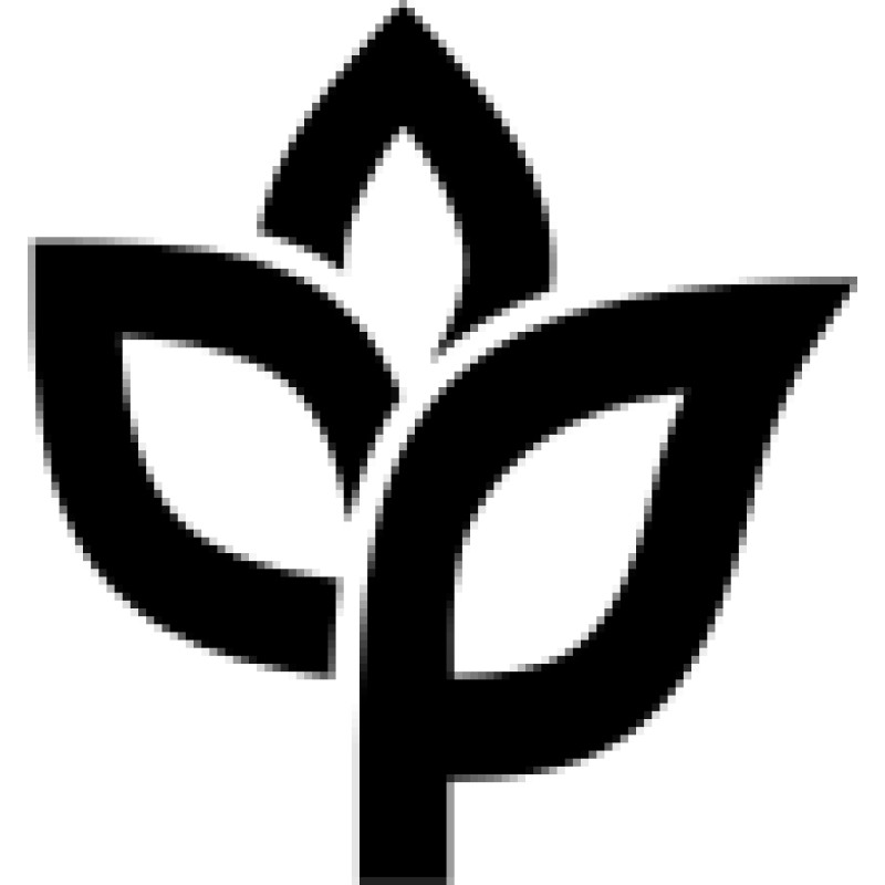 Ankorstore logo