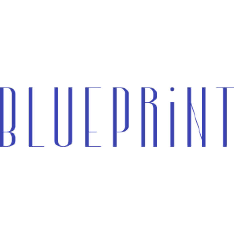 The Blueprint