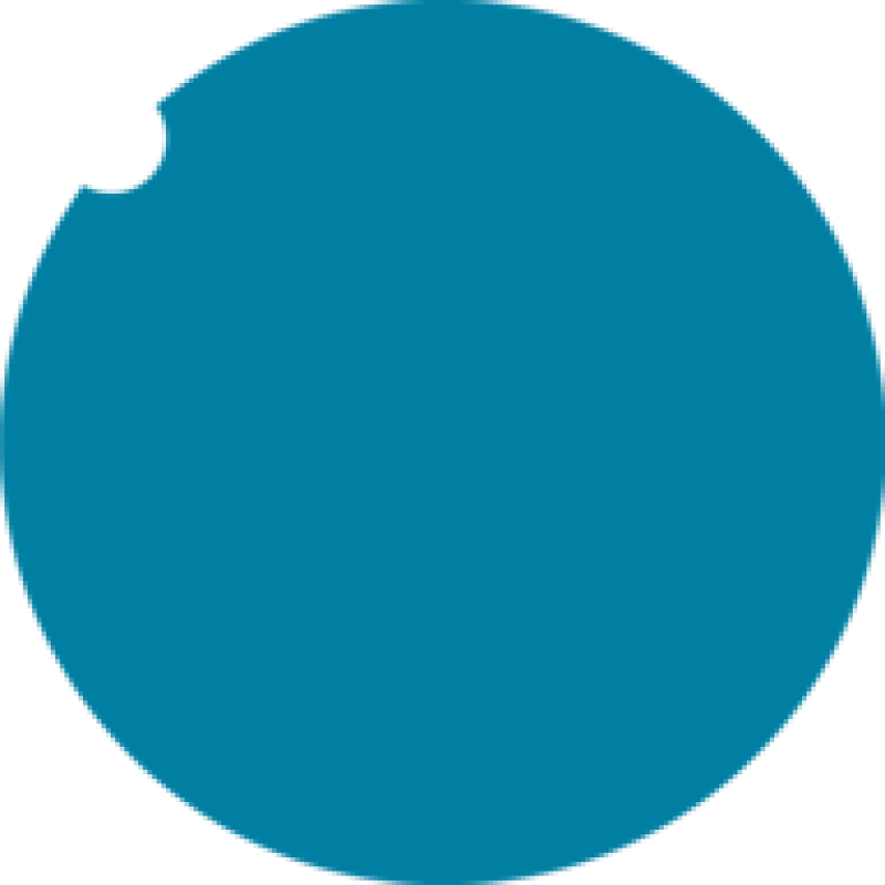 Siltronic logo