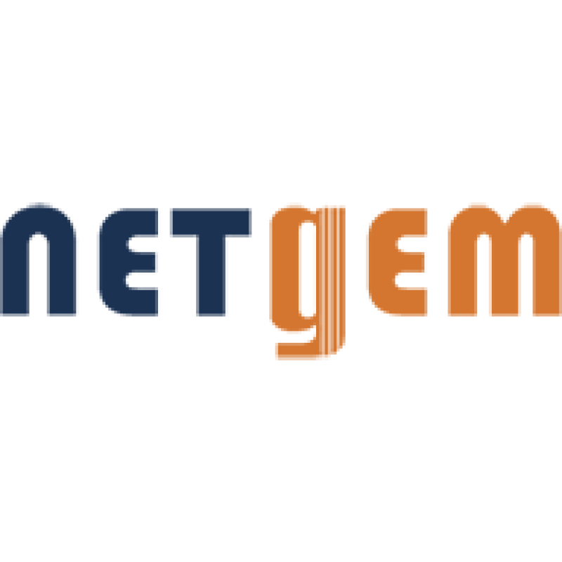 Netgem logo
