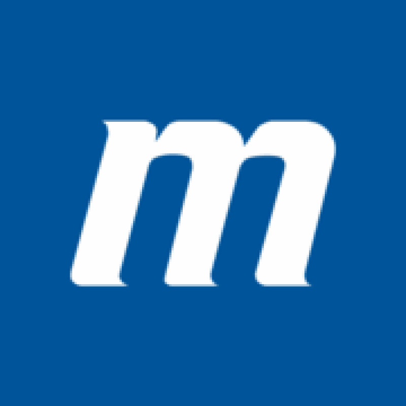 Flink logo
