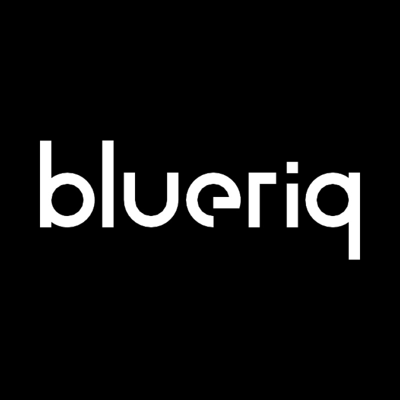 Blueriq logo