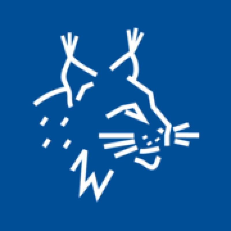 Lynx logo