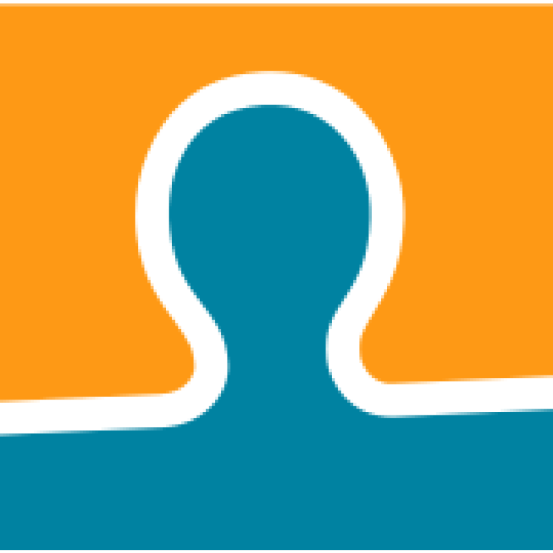 BSI logo