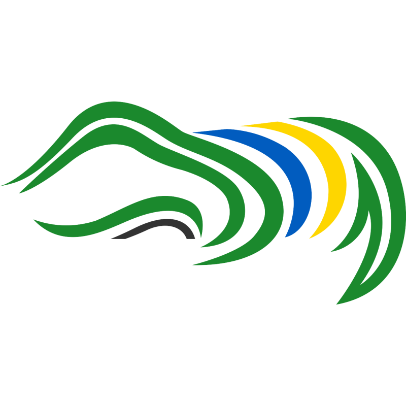 Datamole logo