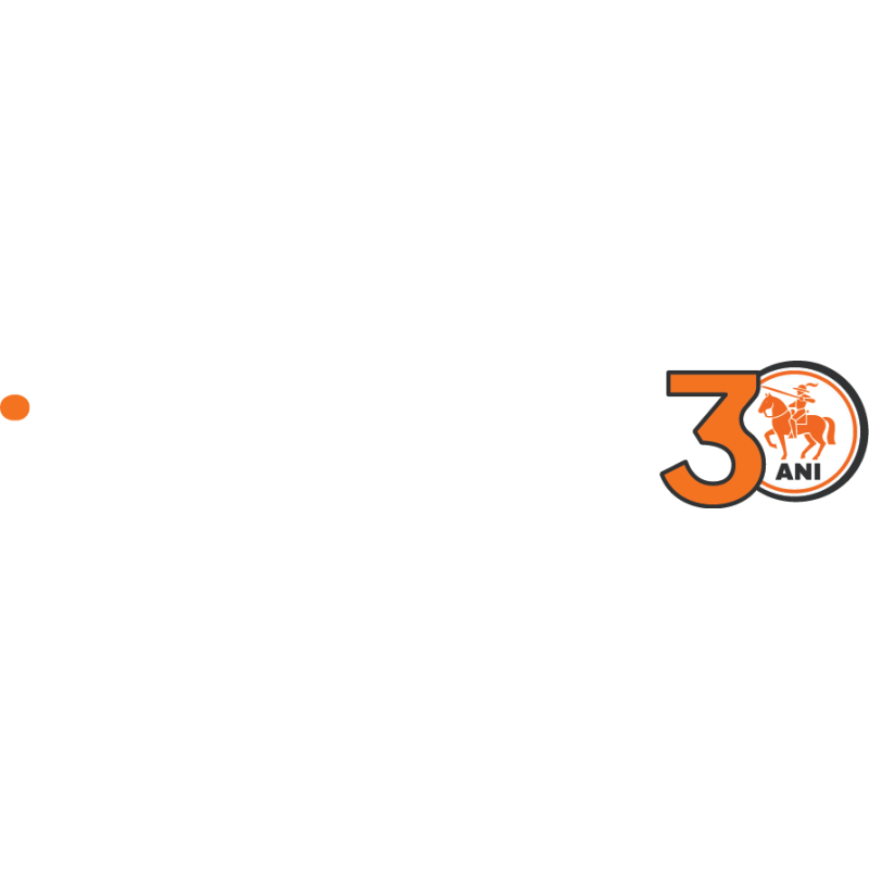 INES Group logo