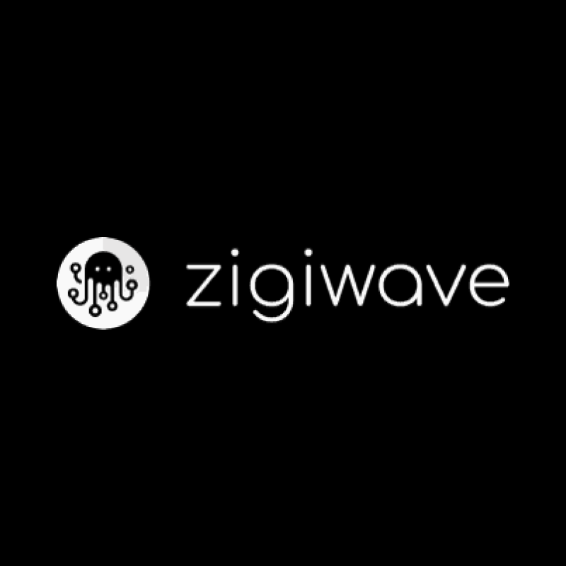 zigiwave.com