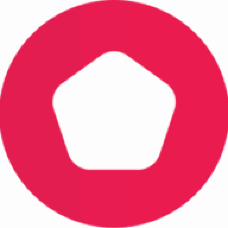 PaynoPain logo