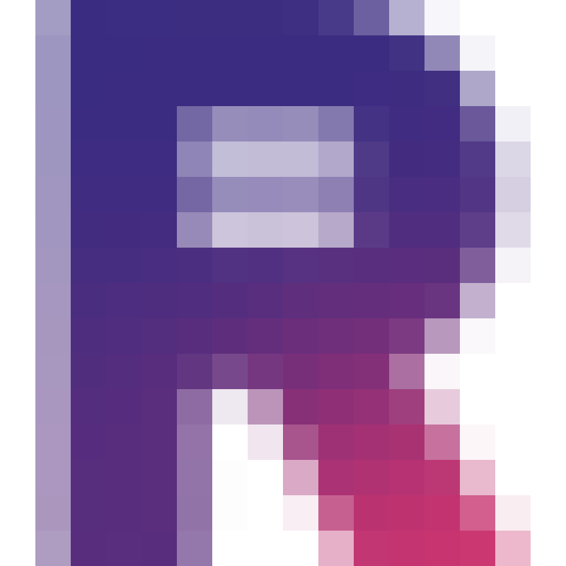 Rie&scaron;enia logo