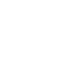 Securosys logo