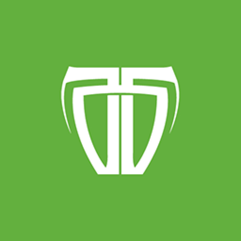 Tesorion logo