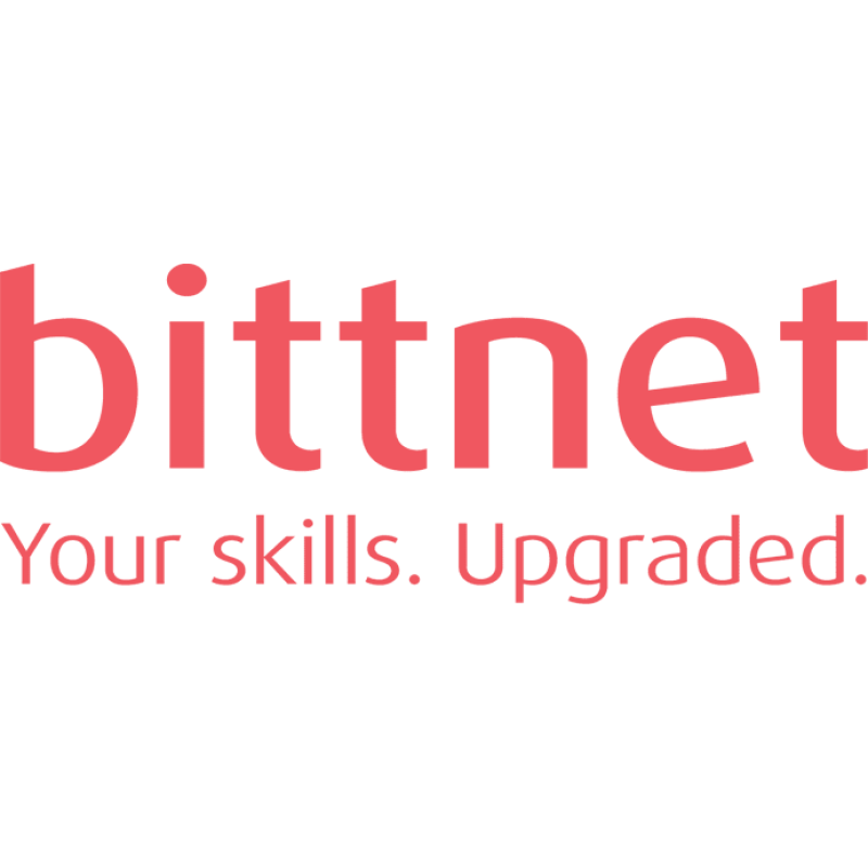 Bittnet Systems logo