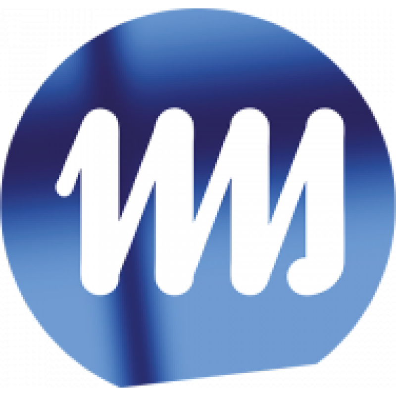 IMS Nanofabrication logo