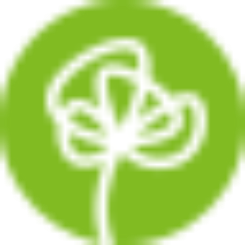 Coolclever logo