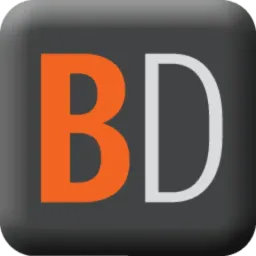 Bank Director