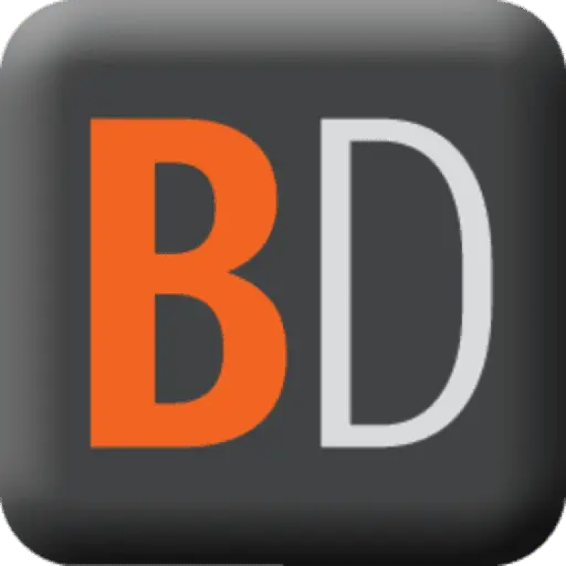 Bank Director