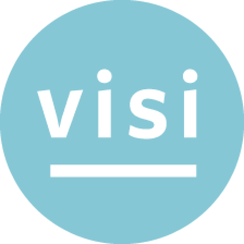 Visibility logo
