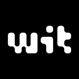 WIT Software logo