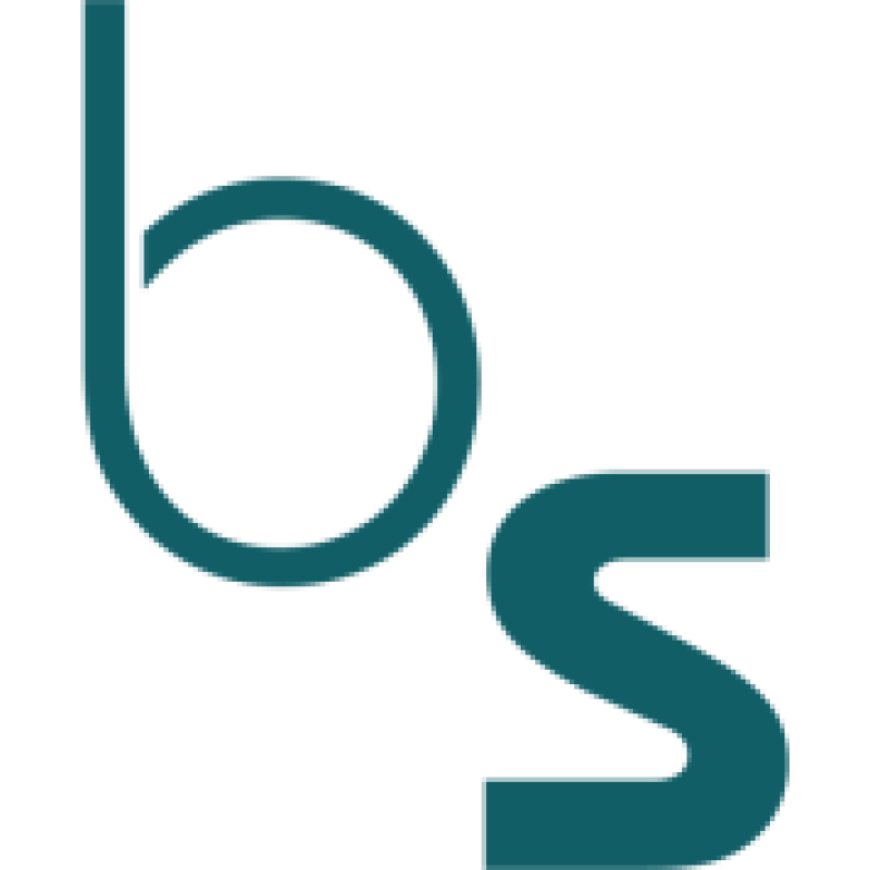 Brightsolid logo