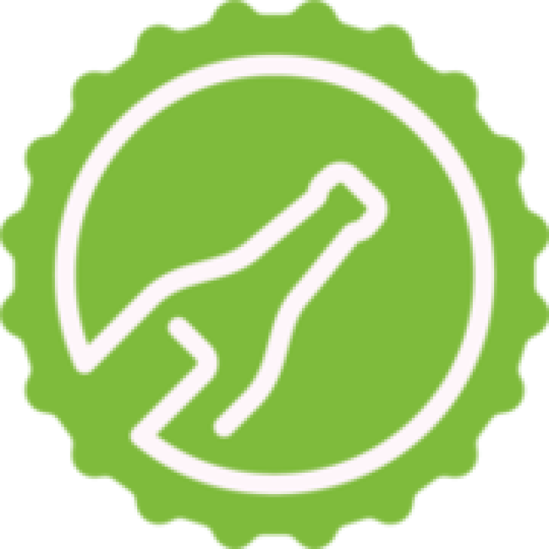 flaschenpost logo