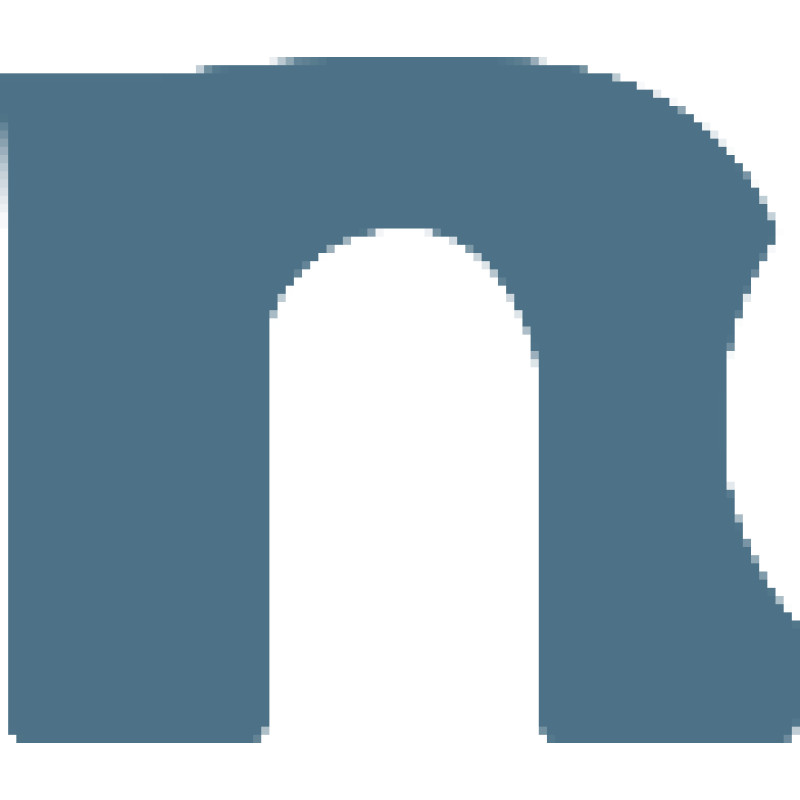 Netic logo
