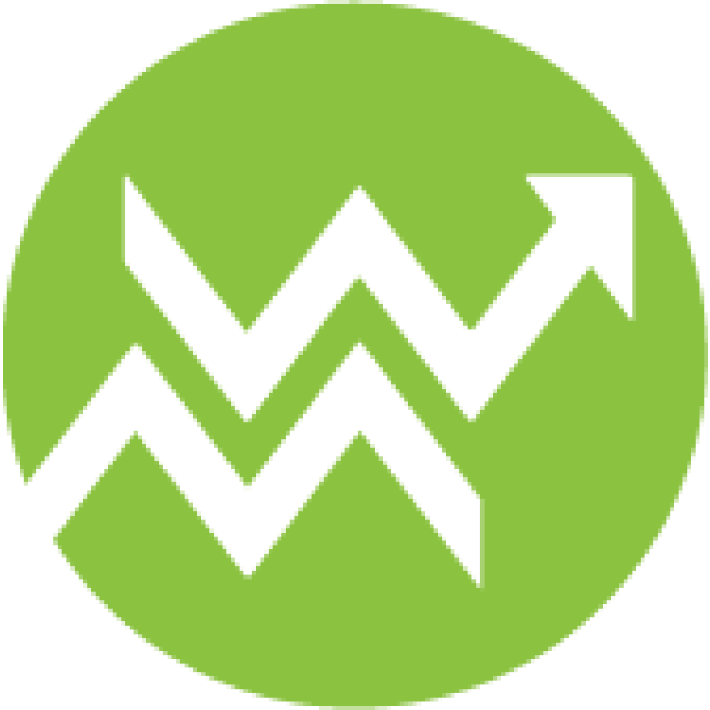 The Wise Marketer