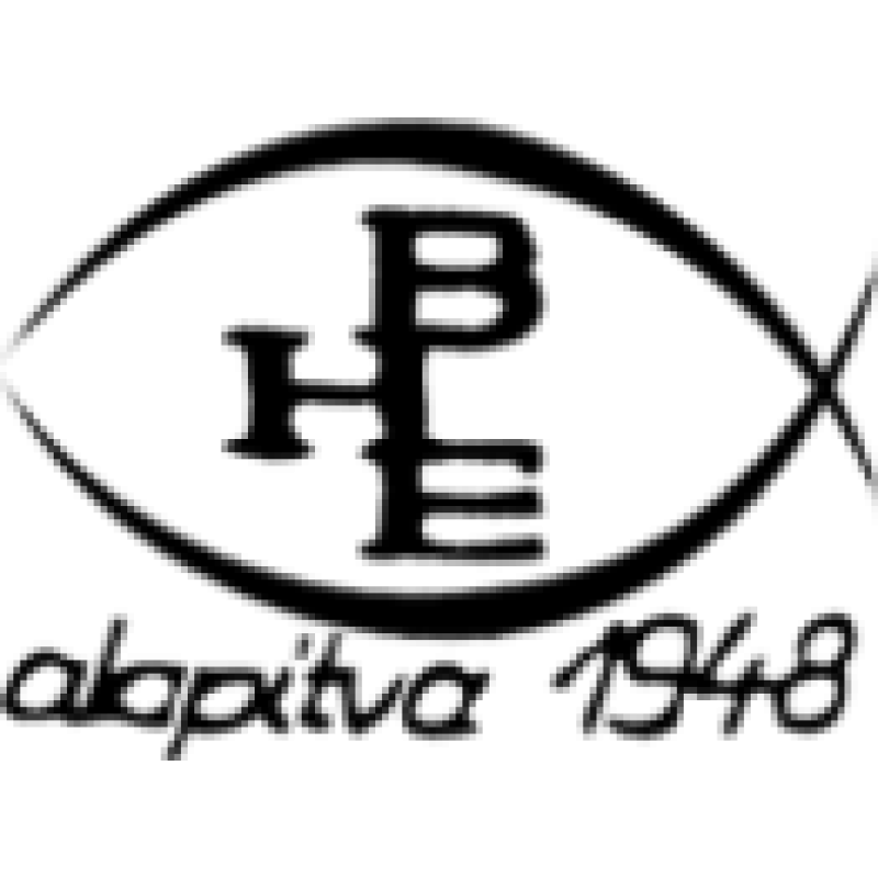 BHE Bonn Hungary logo