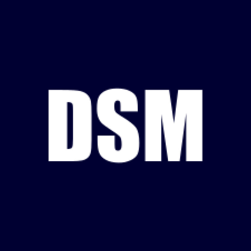 DSMedia.pro logo