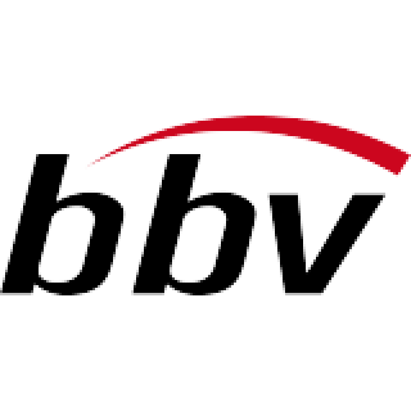 bbv Software Services logo