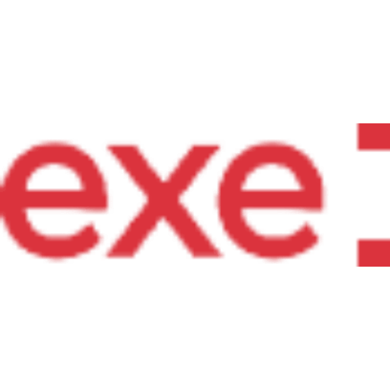 EXE logo