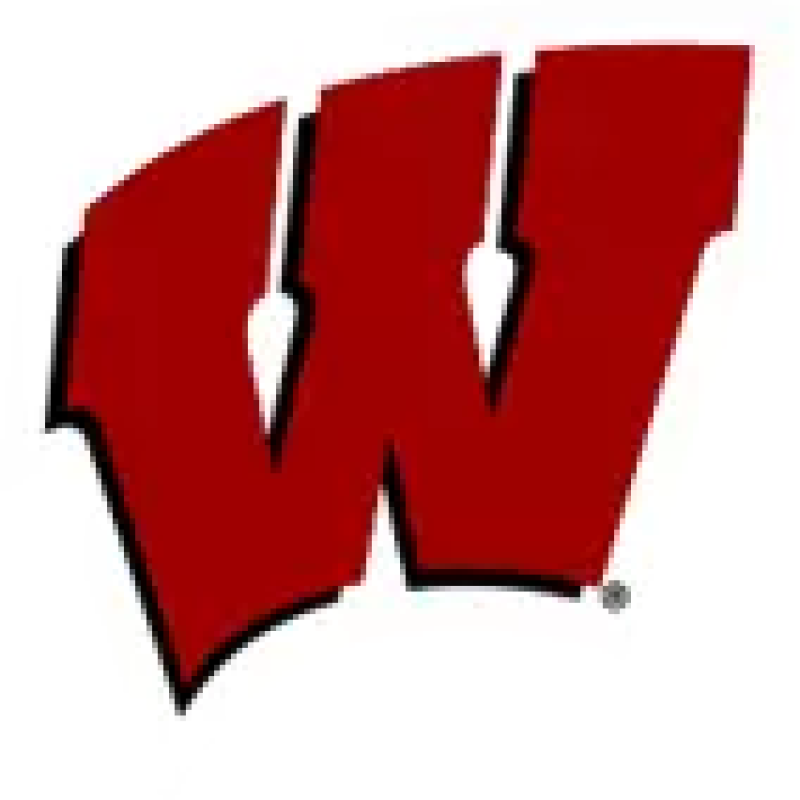 Wisconsin Badgers logo