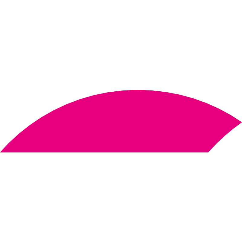 MaibornWolff logo