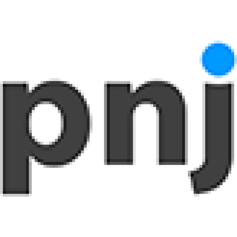 Pensacola News Journal logo