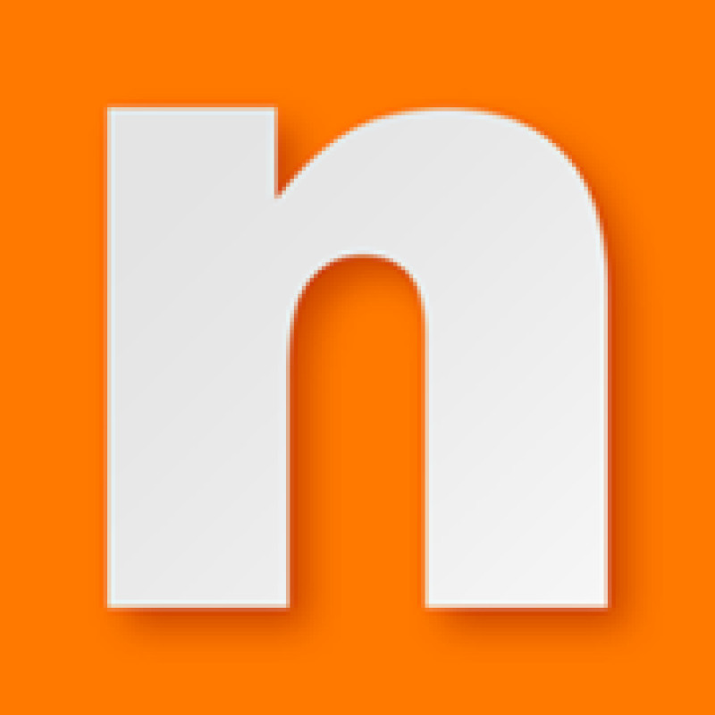Netrisk logo