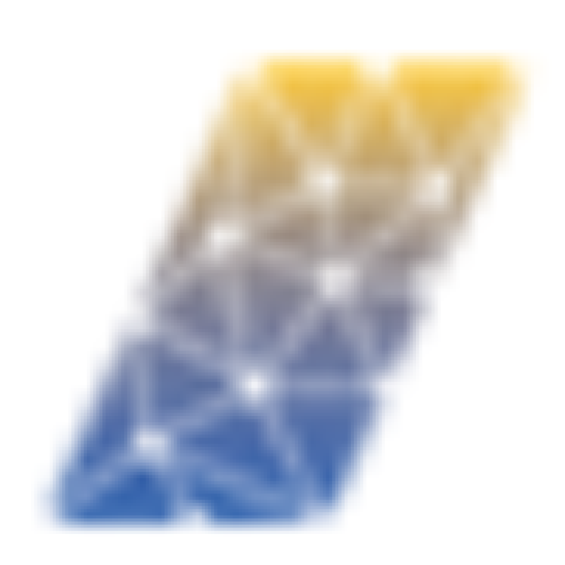 Neev Systems logo