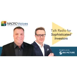 Macrovoices logo